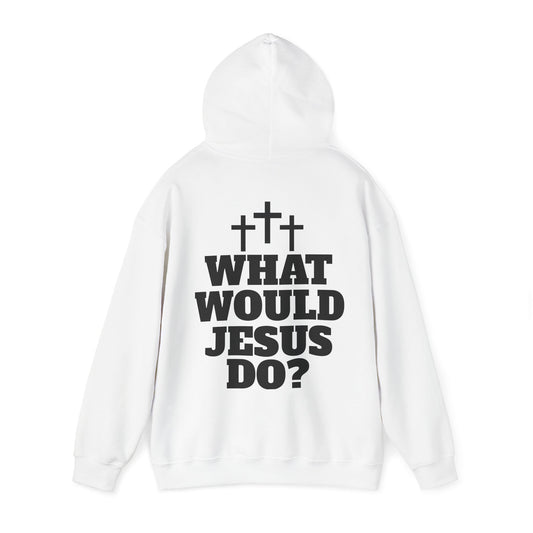 "WHAT WOULD JESUS DO?" HOODIE
